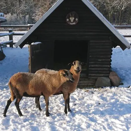 Holiday home Ferienhaus Rothemuhle *